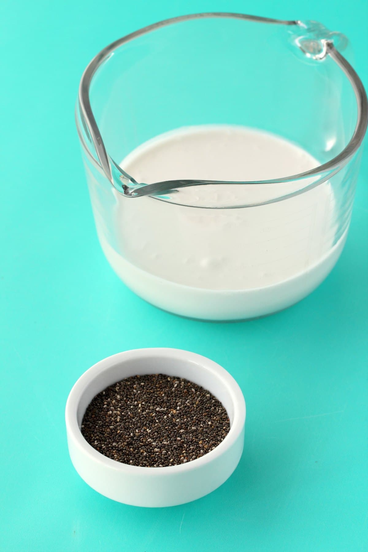 A bowl of chia seeds next to a jug of coconut cream. 