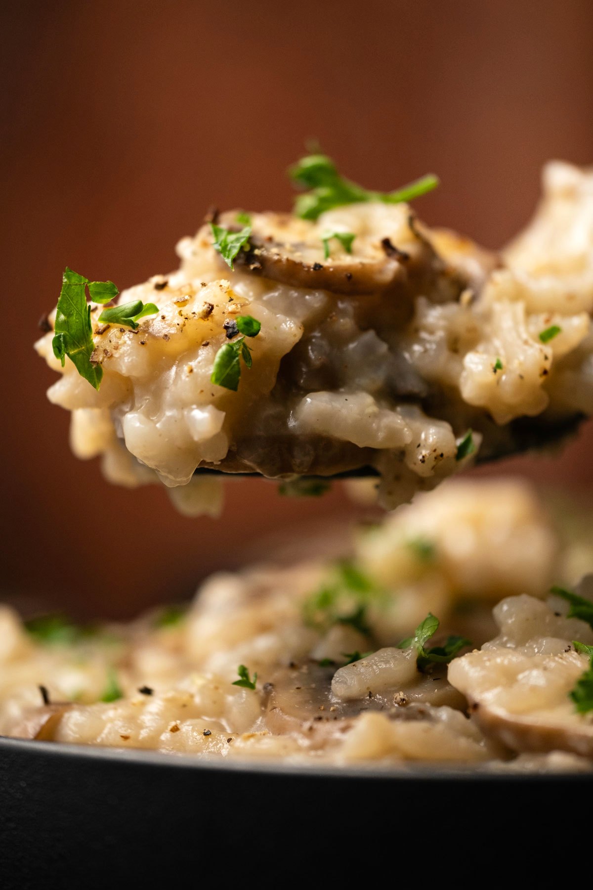 Spoon with mushroom risotto. 